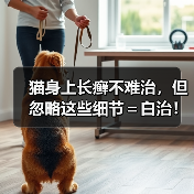 猫身上长癣不难治，但忽略这些细节＝白治！