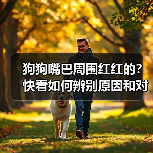 狗狗嘴巴周围红红的？快看如何辨别原因和对症下药！