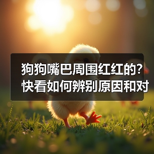 狗狗嘴巴周围红红的?快看如何辨别原因和对症下药!(图2) 狗狗嘴巴周围红红的?快看如何辨别原因和对症下药!(图2)