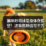 猫咪吐毛球是身体在报警!这些危险信号千万别忽视(图2) 猫咪吐毛球是身体在报警!这些危险信号千万别忽视(图2)