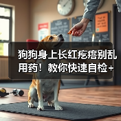 狗狗身上长红疙瘩别乱用药!教你快速自检+治疗(图2) 狗狗身上长红疙瘩别乱用药!教你快速自检+治疗(图2)