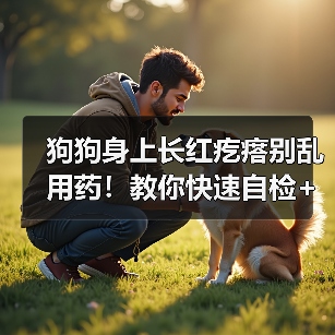狗狗身上长红疙瘩别乱用药！教你快速自检+治疗