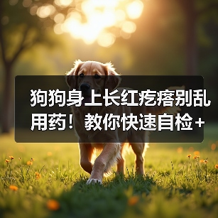 狗狗身上长红疙瘩别乱用药!教你快速自检+治疗(图4) 狗狗身上长红疙瘩别乱用药!教你快速自检+治疗(图4)