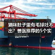 猫咪肚子里有毛球吐不出？兽医推荐的5个实用方法