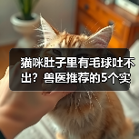 猫咪肚子里有毛球吐不出?兽医推荐的5个实用方法(图2) 猫咪肚子里有毛球吐不出?兽医推荐的5个实用方法(图2)