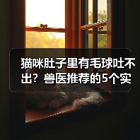 猫咪肚子里有毛球吐不出?兽医推荐的5个实用方法(图3) 猫咪肚子里有毛球吐不出?兽医推荐的5个实用方法(图3)