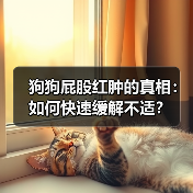 狗狗屁股红肿的真相:如何快速缓解不适?(图4) 狗狗屁股红肿的真相:如何快速缓解不适?(图4)