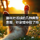 猫咪吐毛球的几种典型表现,你家猫中招了吗?(图4) 猫咪吐毛球的几种典型表现,你家猫中招了吗?(图4)
