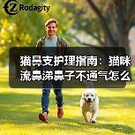 猫鼻支护理指南:猫咪流鼻涕鼻子不通气怎么办?(图2) 猫鼻支护理指南:猫咪流鼻涕鼻子不通气怎么办?(图2)