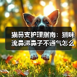 猫鼻支护理指南：猫咪流鼻涕鼻子不通气怎么办？