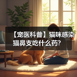 【宠医科普】猫咪感染猫鼻支吃什么药?(图2) 【宠医科普】猫咪感染猫鼻支吃什么药?(图2)