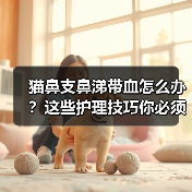 猫鼻支鼻涕带血怎么办?这些护理技巧你必须知道!(图2) 猫鼻支鼻涕带血怎么办?这些护理技巧你必须知道!(图2)