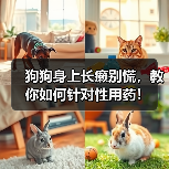 狗狗身上长癞别慌，教你如何针对性用药！