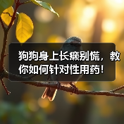 狗狗身上长癞别慌,教你如何针对性用药!(图4) 狗狗身上长癞别慌,教你如何针对性用药!(图4)