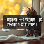 狗狗身上长癞别慌,教你如何针对性用药!(图3) 狗狗身上长癞别慌,教你如何针对性用药!(图3)