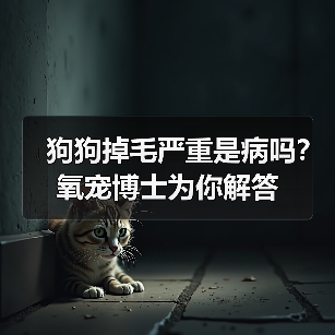 狗狗掉毛严重是病吗？氧宠博士为你解答（图2）