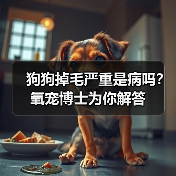 狗狗掉毛严重是病吗？氧宠博士为你解答（图4）