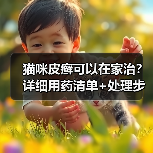 猫咪皮癣可以在家治？详细用药清单+处理步骤分享！