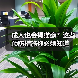 成人也会得猫癣？这些预防措施你必须知道（图2）