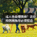 成人也会得猫癣？这些预防措施你必须知道（图4）