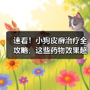 速看!小狗皮癣治疗全攻略,这些药物效果超棒(图1) 速看!小狗皮癣治疗全攻略,这些药物效果超棒(图1)