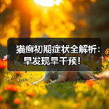 猫癣初期症状全解析：早发现早干预！（图4）