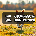 速看!小狗皮癣治疗全攻略,这些药物效果超棒(图2) 速看!小狗皮癣治疗全攻略,这些药物效果超棒(图2)