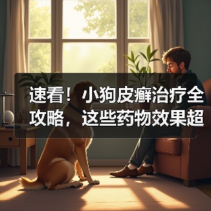 速看!小狗皮癣治疗全攻略,这些药物效果超棒(图3) 速看!小狗皮癣治疗全攻略,这些药物效果超棒(图3)