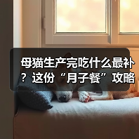 母猫生产完吃什么最补?这份“月子餐”攻略请收好!(图3) 母猫生产完吃什么最补?这份“月子餐”攻略请收好!(图3)