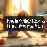 狗狗生产后吃什么?这样喂,有营养又有奶!(图4) 狗狗生产后吃什么?这样喂,有营养又有奶!(图4)