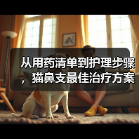 从用药清单到护理步骤，猫鼻支最佳治疗方案公开！