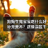 狗狗生完宝宝吃什么好补充营养？这些误区千万别踩！（图4）
