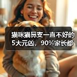 猫咪猫鼻支一直不好的5大元凶，90%家长都忽视了