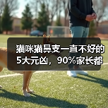 猫咪猫鼻支一直不好的5大元凶，90%家长都忽视了（图4）