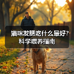 猫咪发腮吃什么最好?科学喂养指南(图2) 猫咪发腮吃什么最好?科学喂养指南(图2)
