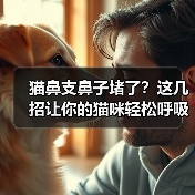 猫鼻支鼻子堵了？这几招让你的猫咪轻松呼吸！