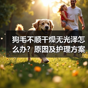 狗毛不顺干燥无光泽怎么办?原因及护理方案(图4) 狗毛不顺干燥无光泽怎么办?原因及护理方案(图4)