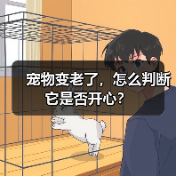 宠物变老了,怎么判断它是否开心?(图2) 宠物变老了,怎么判断它是否开心?(图2)