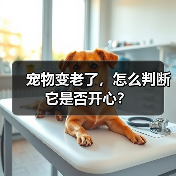 宠物变老了,怎么判断它是否开心?(图3) 宠物变老了,怎么判断它是否开心?(图3)