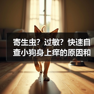 寄生虫?过敏?快速自查小狗身上痒的原因和用药方案(图3) 寄生虫?过敏?快速自查小狗身上痒的原因和用药方案(图3)