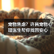 宠物焦虑?许昌宠物心理医生帮你找回安心(图1) 宠物焦虑?许昌宠物心理医生帮你找回安心(图1)