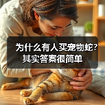 为什么有人买宠物蛇？其实答案很简单