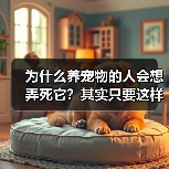 为什么养宠物的人会想弄死它?其实只要这样做就能解决(图3) 为什么养宠物的人会想弄死它?其实只要这样做就能解决(图3)