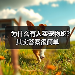 为什么有人买宠物蛇？其实答案很简单（图4）
