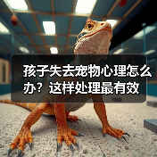 孩子失去宠物心理怎么办?这样处理最有效(图2) 孩子失去宠物心理怎么办?这样处理最有效(图2)