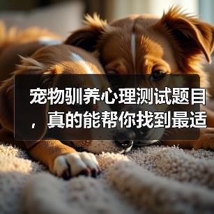 宠物驯养心理测试题目，真的能帮你找到最适合的训练方法吗？（图3）
