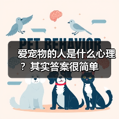 爱宠物的人是什么心理？其实答案很简单（图2）