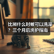 比熊什么时候可以洗澡?三个月后洗护指南(图1) 比熊什么时候可以洗澡?三个月后洗护指南(图1)