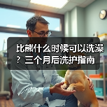 比熊什么时候可以洗澡?三个月后洗护指南(图3) 比熊什么时候可以洗澡?三个月后洗护指南(图3)