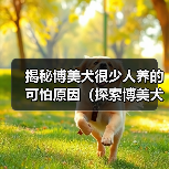 揭秘博美犬很少人养的可怕原因(探索博美犬受欢迎度低的内在因素)(图1) 揭秘博美犬很少人养的可怕原因(探索博美犬受欢迎度低的内在因素)(图1)